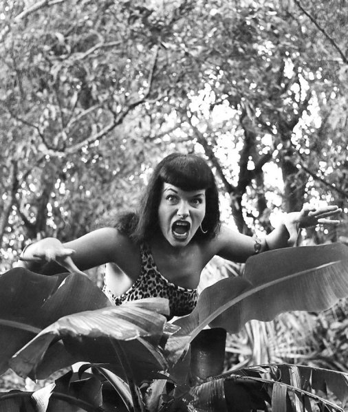 366897425_tumblr_p07vy8WjY81uowzuvo1_1280_123_94lo